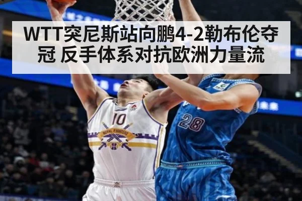 WTT突尼斯站向鹏4-2勒布伦夺冠 反手体系对抗欧洲力量流