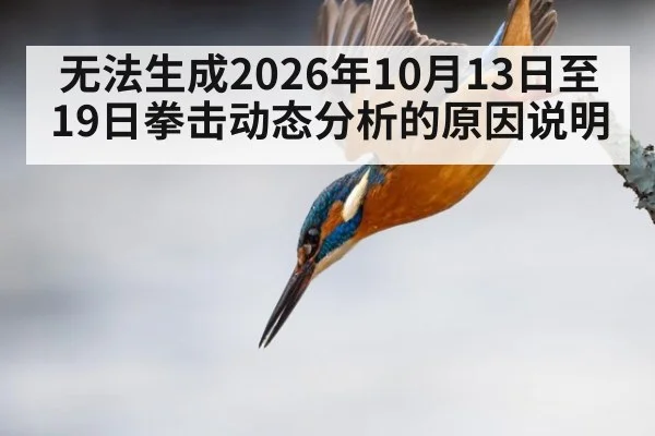 无法生成2026年10月13日至19日拳击动态分析的原因说明
